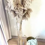 아파트 Mok 2 티미쇼아라
