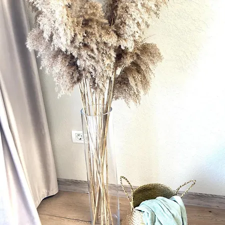 Apartament Mok 2 Timișoara