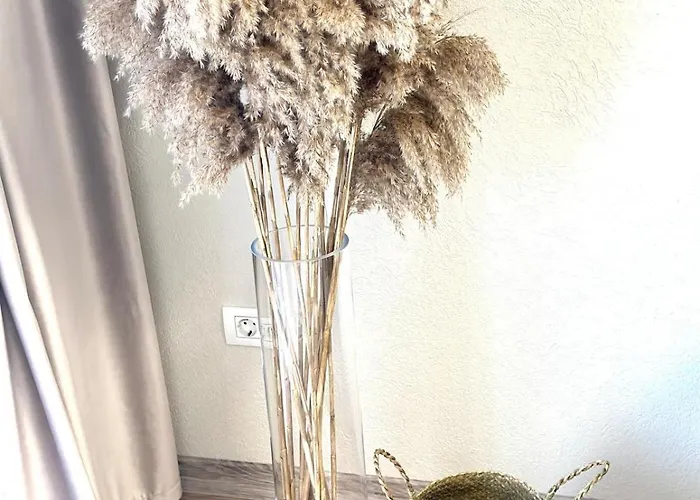 アパート Mok 2 ティミショアラ