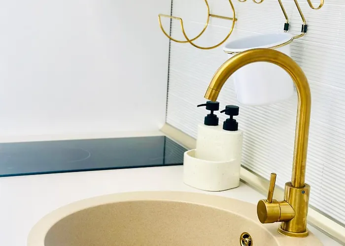 Mok 2 アパート ティミショアラ